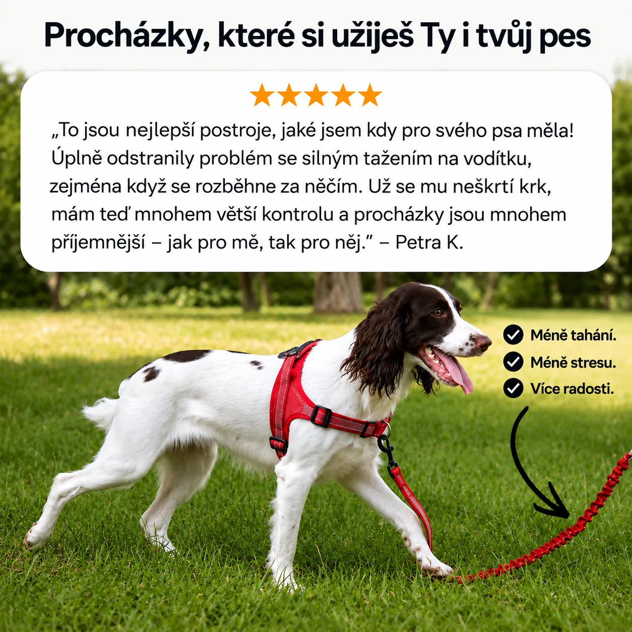 NoPull Pro - Vivelta™