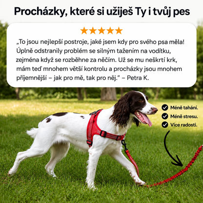 NoPull Pro - Vivelta™