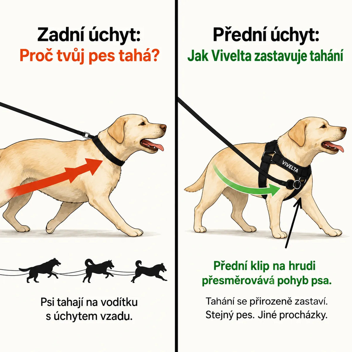 NoPull Pro - Vivelta™